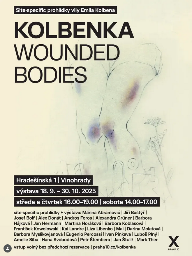 Wounded bodies